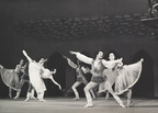 Coppelia