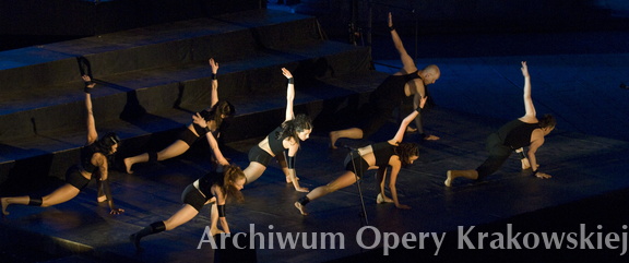Arie Oper Świata 2008 rok