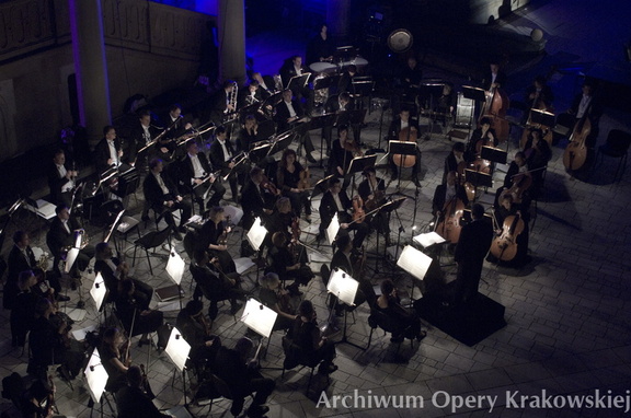 Arie Oper Świata 2008 rok