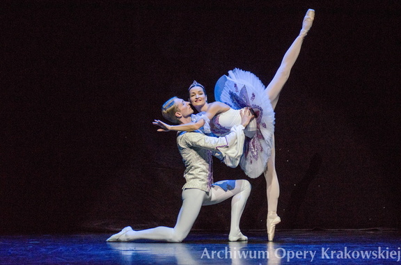 Opera b/o 2012 rok