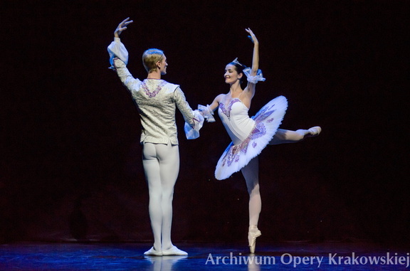 Opera b/o 2012 rok